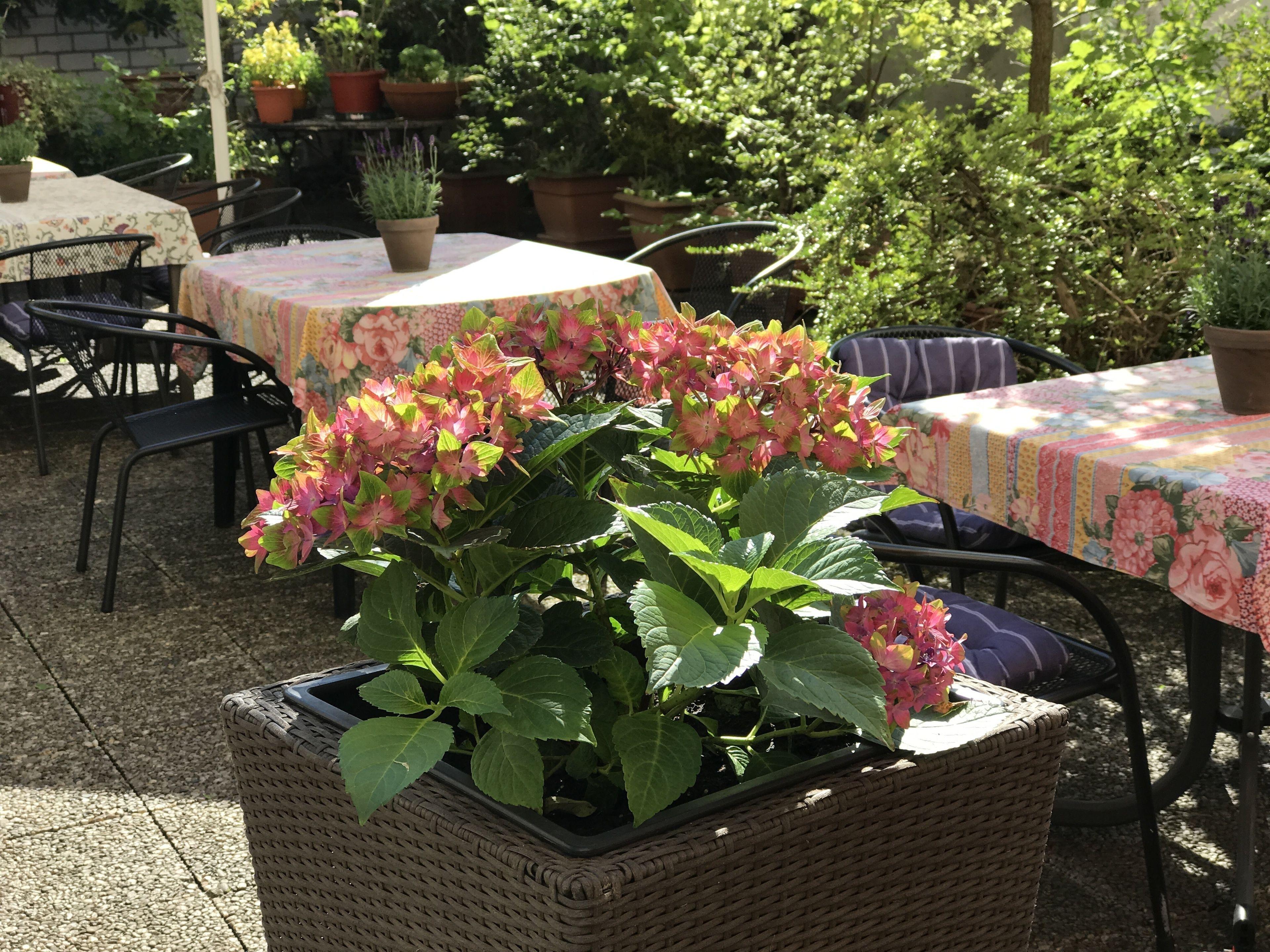 Hotel Cascade Superior Düsseldorf