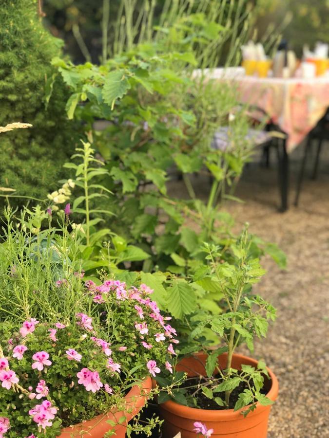 Hotel Cascade Superior Düsseldorf