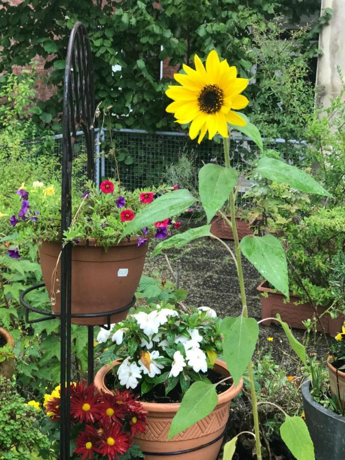 Cascade Superior 3* Düsseldorf