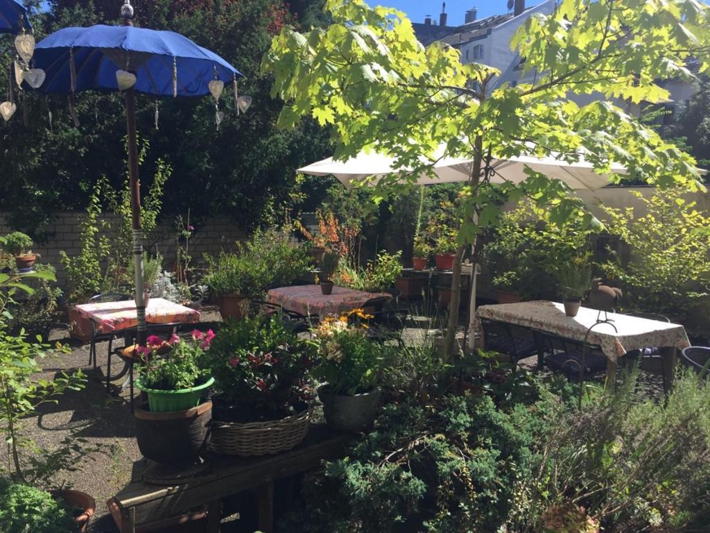 Hotel Cascade Superior 3*