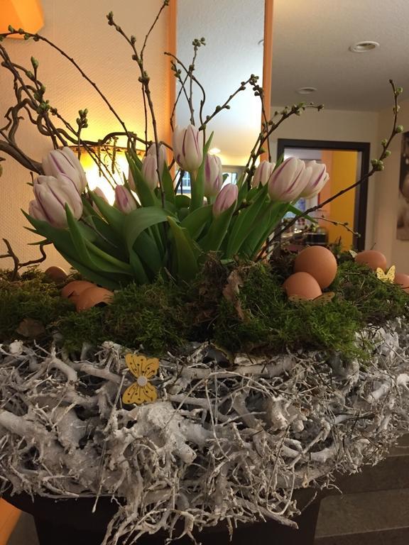 Cascade Superior Düsseldorf