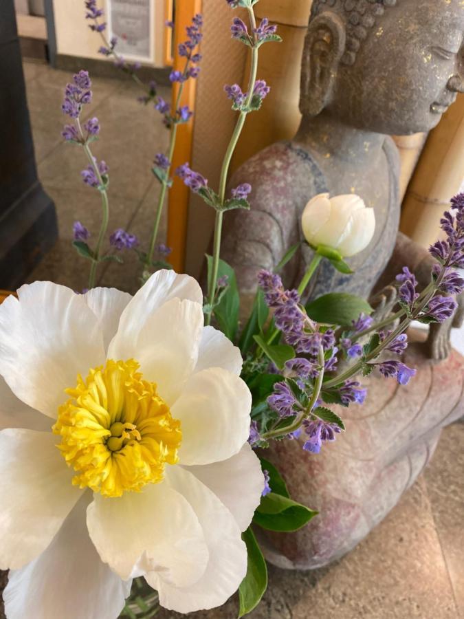 Cascade Superior Dusseldorf