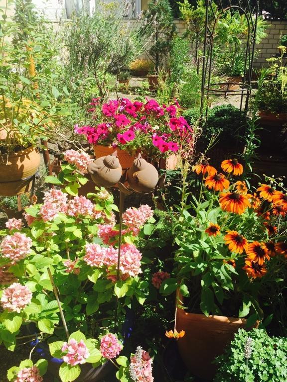 Hotel Cascade Superior 3*