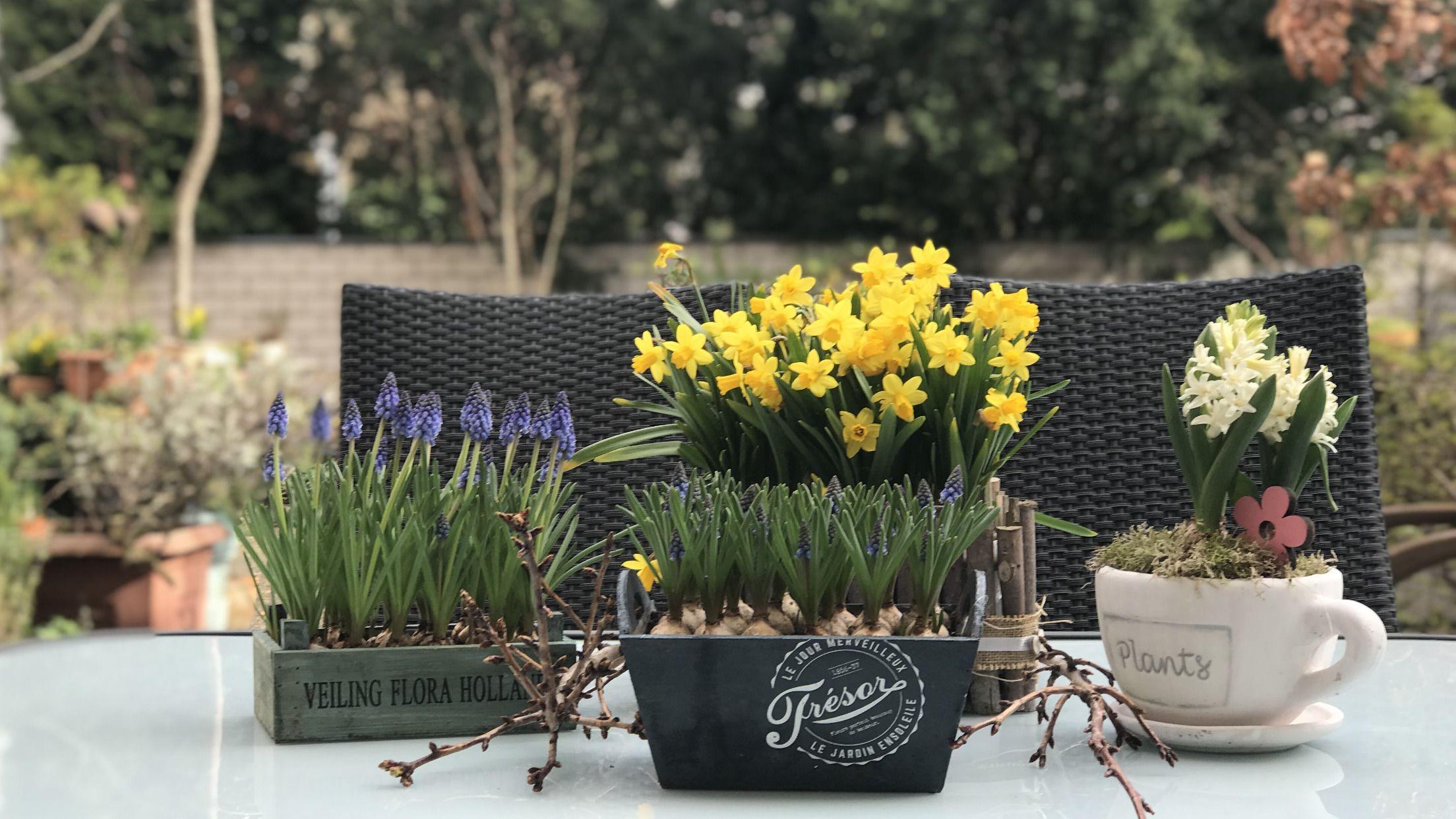 Hotel Cascade Superior 3*