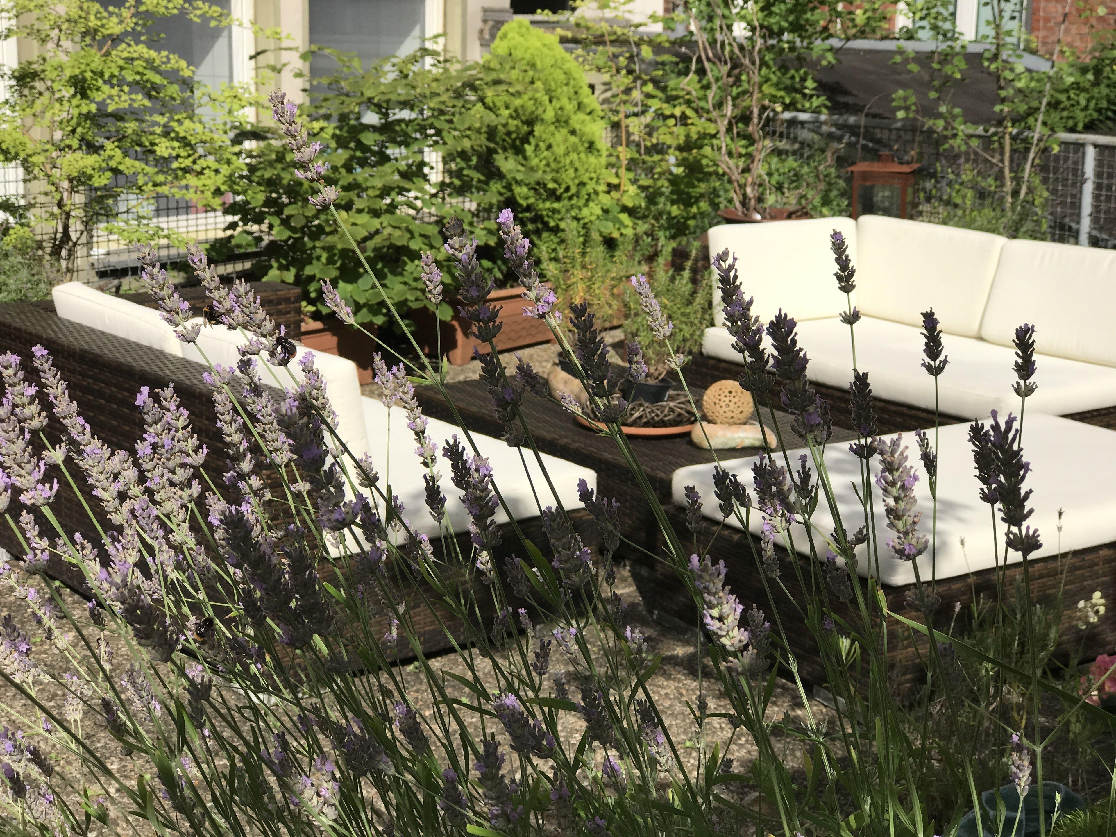 Hotel Cascade Superior 3*