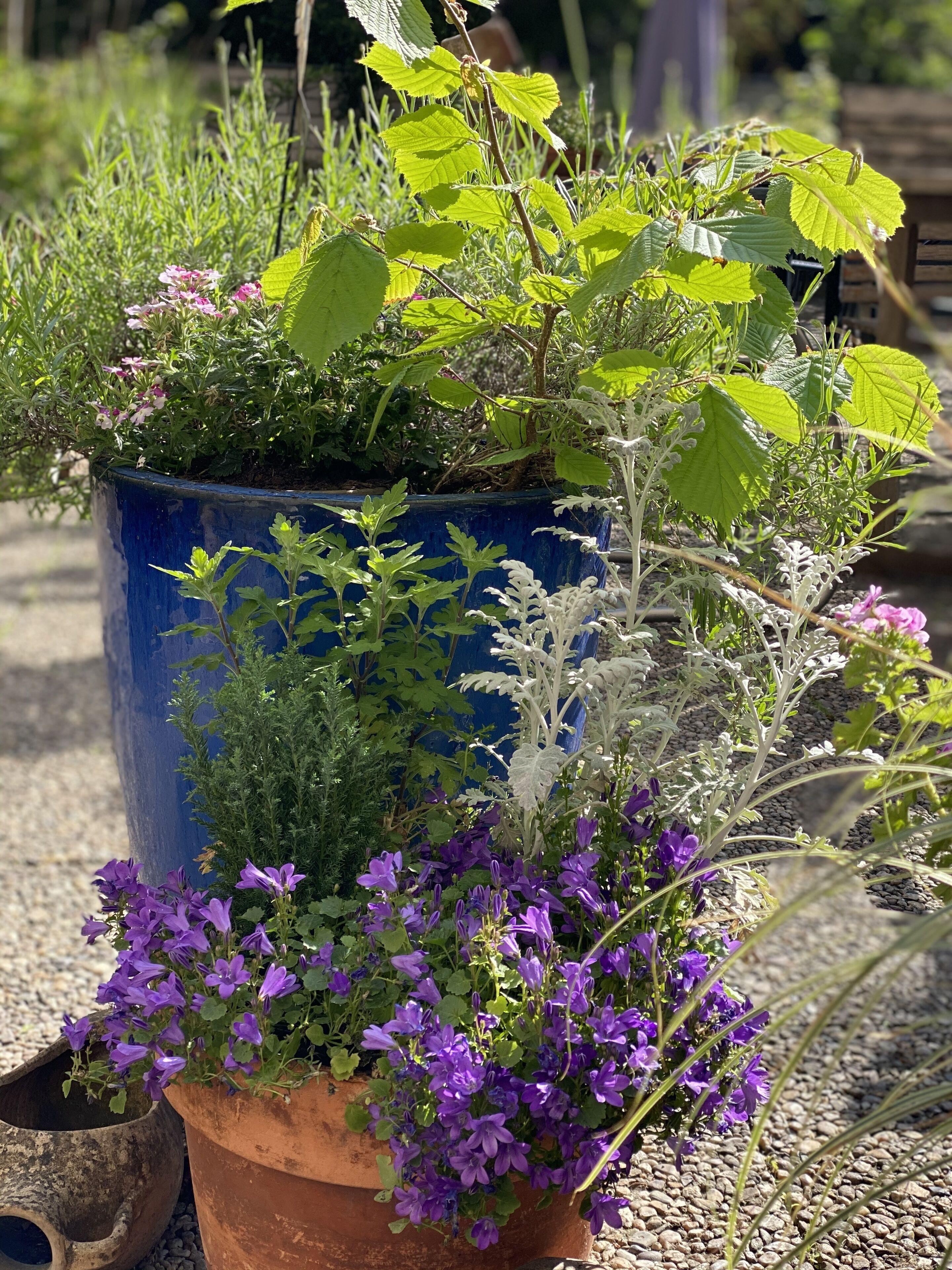 Hotel Cascade Superior Dusseldorf