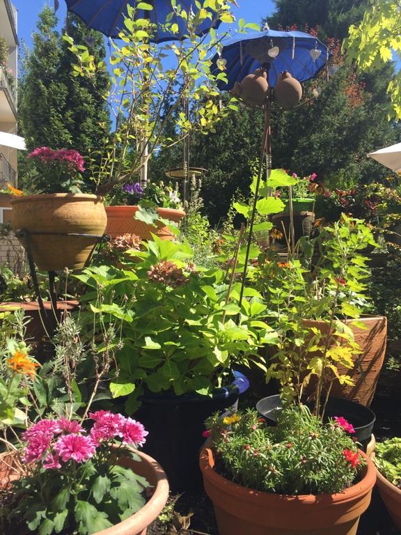 Hotel Cascade Superior Dusseldorf