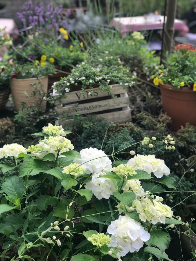 Cascade Superior Hotel Düsseldorf