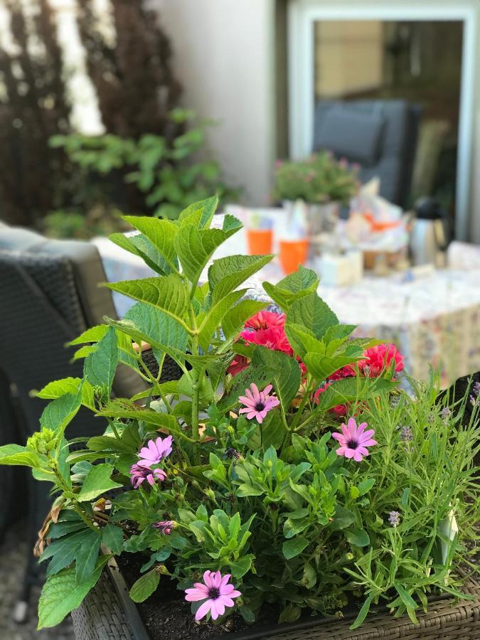 Hotel Cascade Superior Dusseldorf